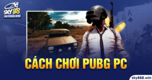 Cách Chơi Pubg Pc sky88