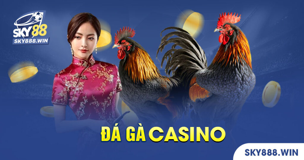 đá gà casino sky88