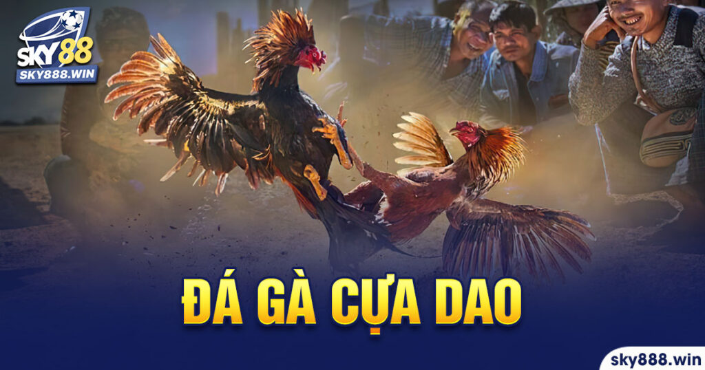 đá gà cựa dao sky88