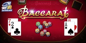 dau-tu-choi-baccarat-2