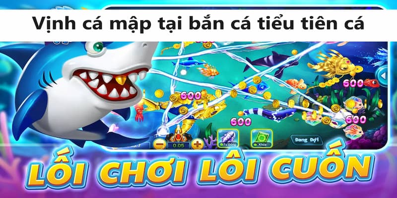 Vịnh cá mập là nơi quy tụ cả các game thủ từ nghiệp dư đến cấp độ VIP